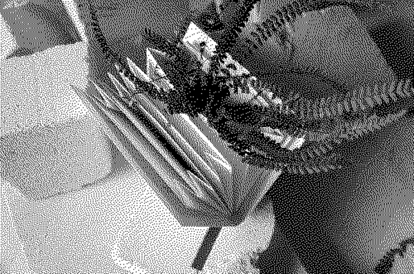 Common Ground website libro pianta