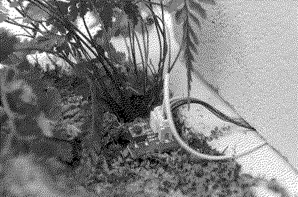 Common Ground website sensore