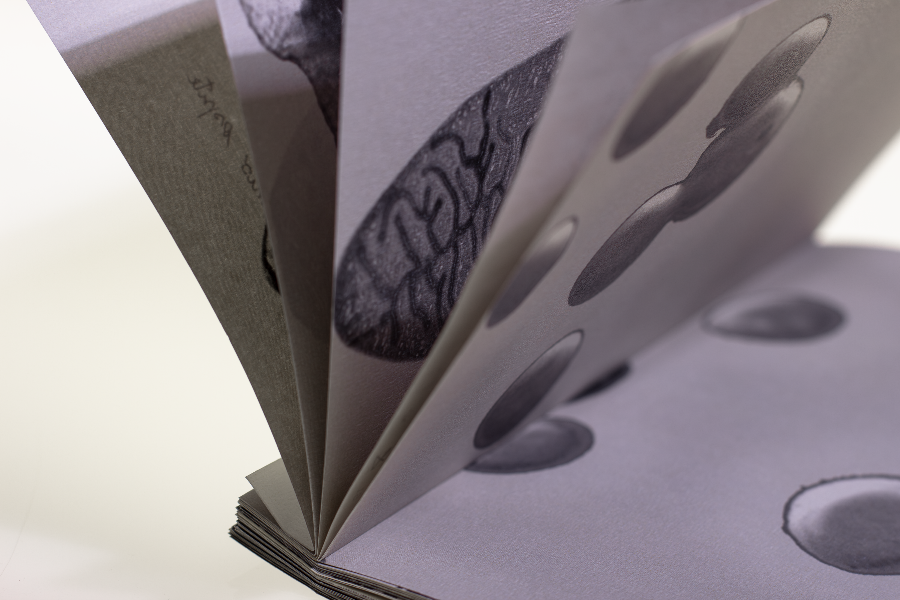 L'Ospite fotolibro immagine 6