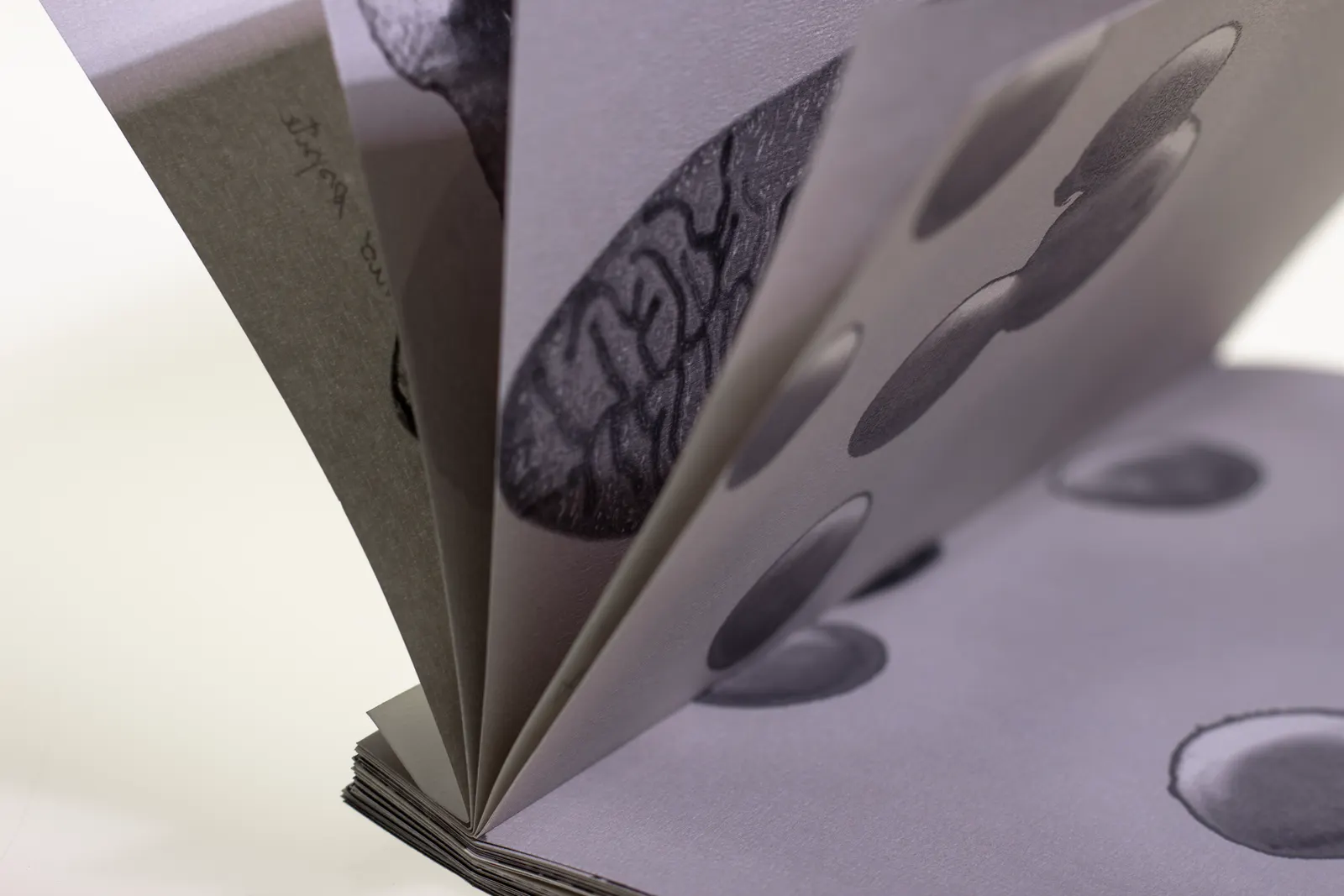 L'Ospite fotolibro immagine 6